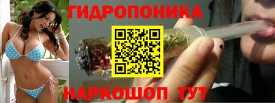 прущие грибы Шахты