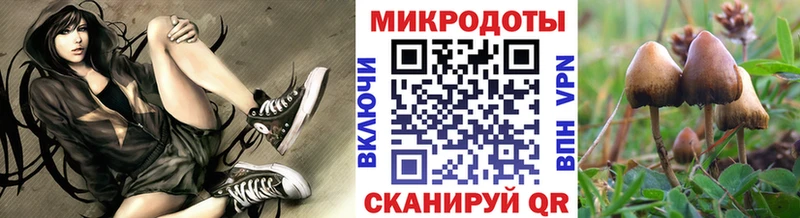 Галлюциногенные грибы Psilocybine cubensis  купить  цена  Алейск 